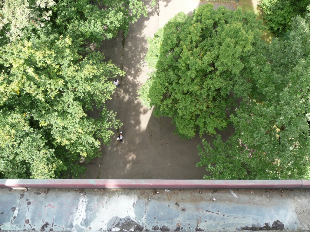 p1020194.jpg