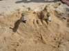 dsc03477_small.jpg