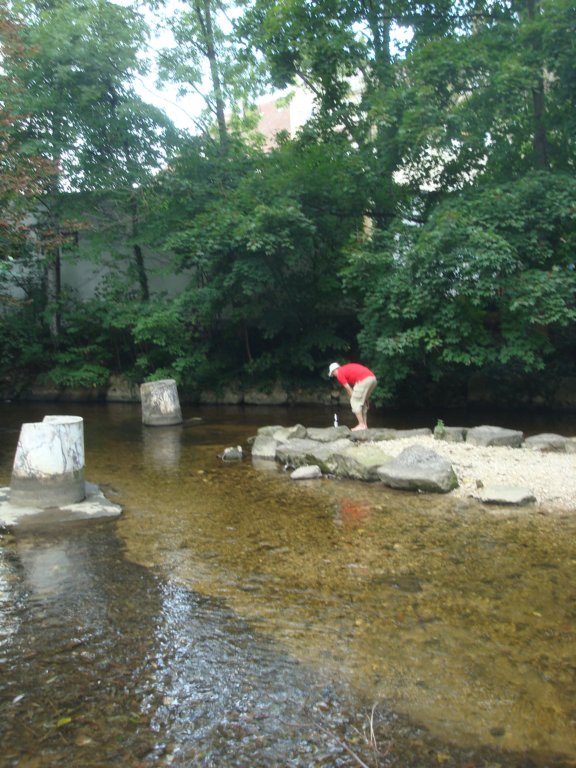 dsc03510.jpg